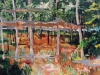 ruptura-in-peisaj(rift in landscape)
